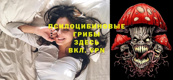 гидра Семёнов