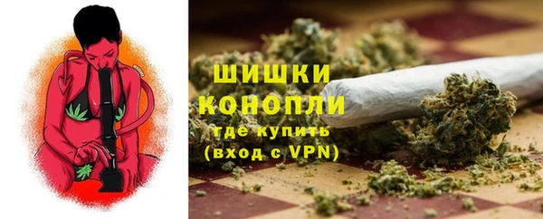 дживик Беломорск
