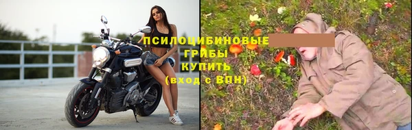 дживик Беломорск